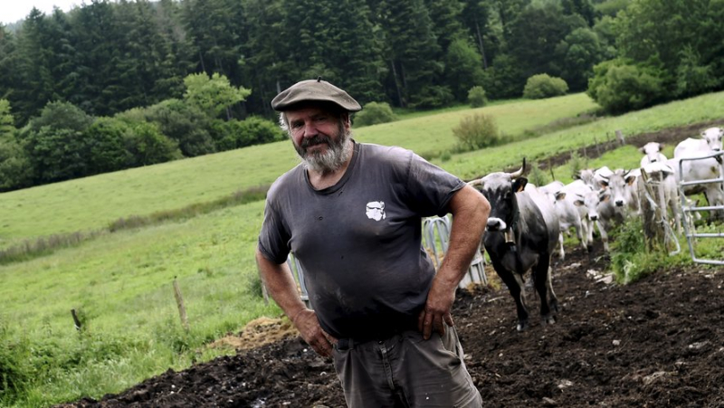 En immersion avant les législatives : parachutage de Poutou, crise agricole, ancrage du RN… dans l’Aude, un sentiment de "chaos"