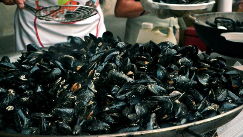 Toxic alert on the Thau lagoon: mussels, clams and gastropods prohibited for consumption