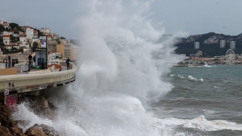 A tsunami on the Mediterranean coasts within 30 years ? A probability “close to 100%” according to a study