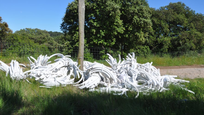 A wild dump worthy of a work of art in the scrubland of Montbazin, near Sète