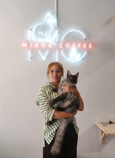 Soon, Miaou Coffee, the first cat bar in Béziers, will open its doors