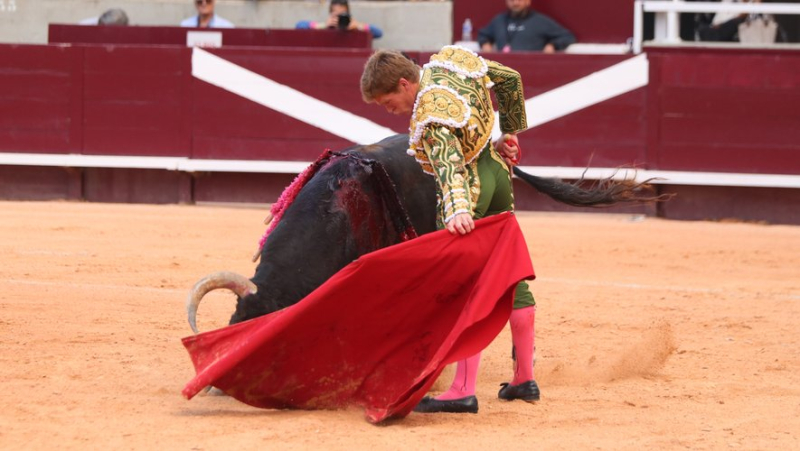 Daniel Luque and Borja Jimenez display their current form for the opening of the Feria d’Istres