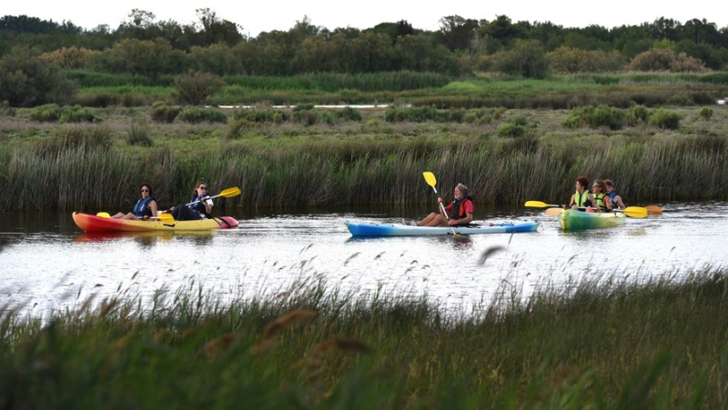 Discover the city and its surroundings differently thanks to a canoe-kayak