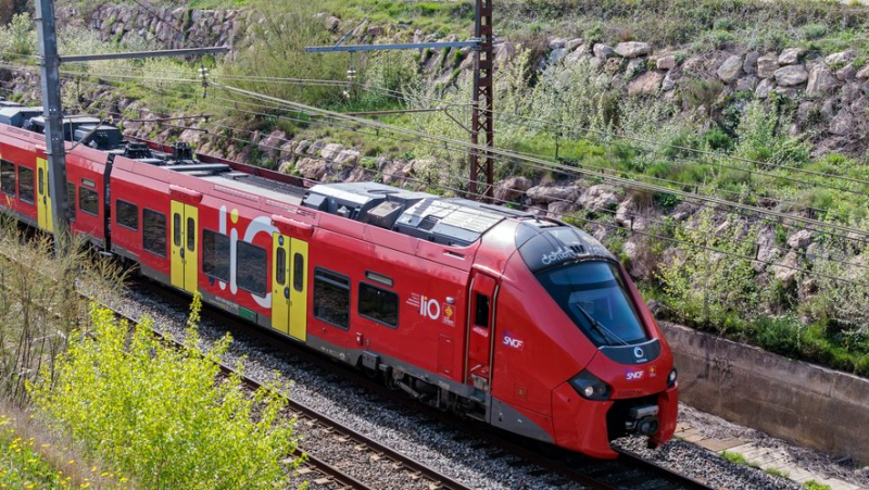 TER and coaches will be free throughout Occitanie on June 30 and July 7 for the legislative elections