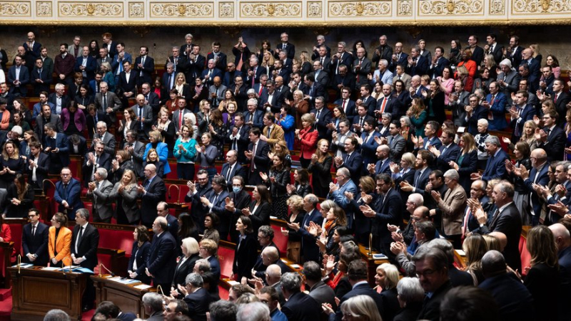 Dissolution of the National Assembly: on what dates will the French have to return to vote for the legislative elections ?