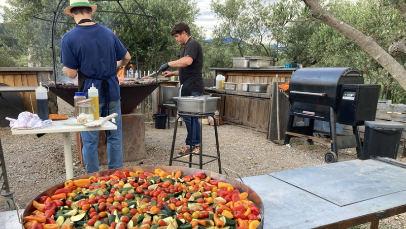 Grillades au brasero, paella de légumes et concerts dans l’oliveraie : les festivités d’été sont de retour au Domaine de l’Oulivie à Combaillaux