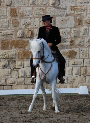 Horse riding: Caroline Mazoyer, work and tradition