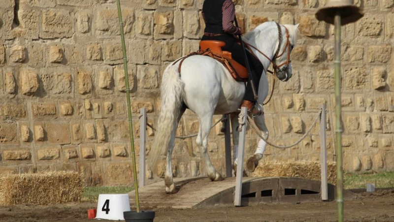 Équitation : Caroline Mazoyer, travail et tradition