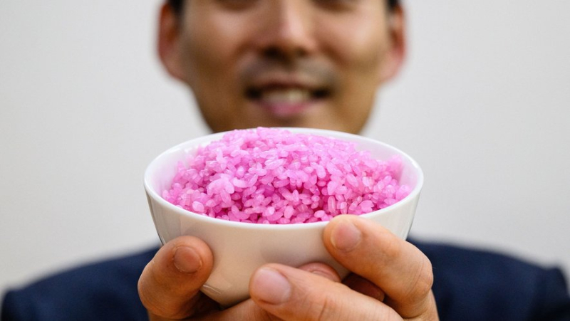 Why do South Koreans inject cultured beef cells into rice grains ?