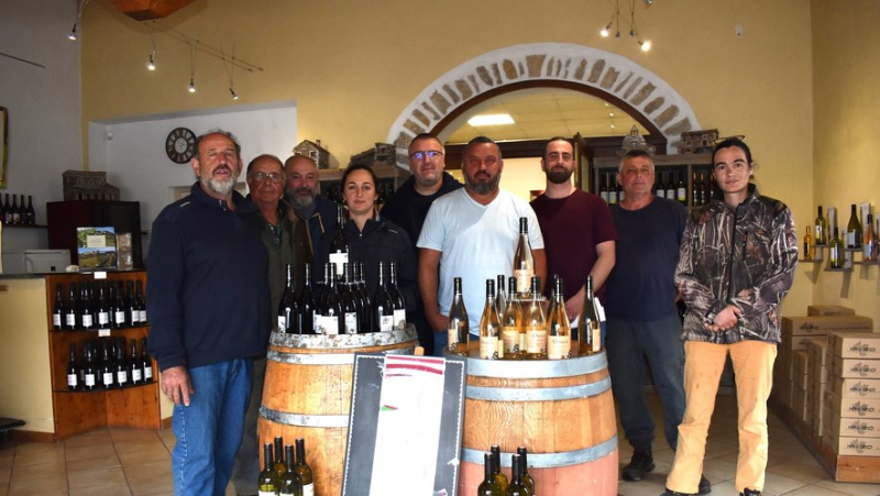 Cooperative cellar of Saint-Gély in Cornillon: after raising the alert, two meetings for the winegrowers