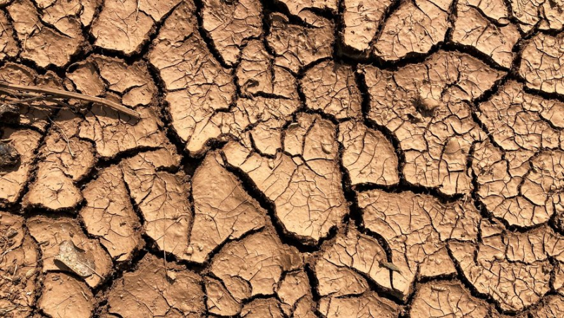 Dans le Gard, 66 communes reconnues en état de catastrophe naturelle pour sécheresse