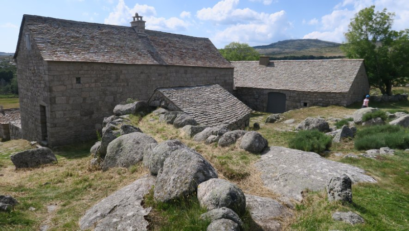 The Estivales Causses and Cévennes offer many activities in Lozère