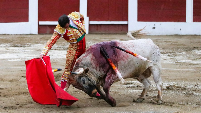 Feria de Céret: an ear for Gomez del Pilar in front of an interesting bullfight by Sobral