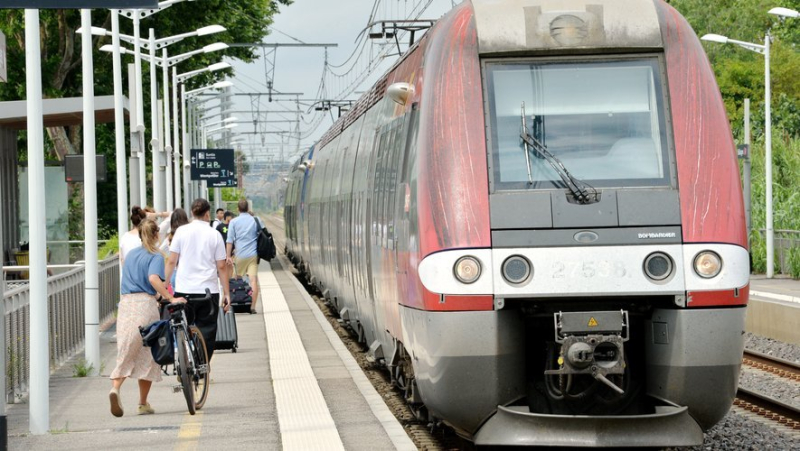 Attack on the SNCF network: an activist arrested on Sunday on one of the railway company&#39;s sites