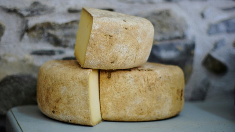 Consumer recall: 9 varieties of Cantal and goat cheese contaminated by two dangerous bacteria