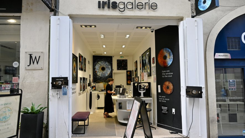 Your iris in photo ? The concept sees double in Montpellier