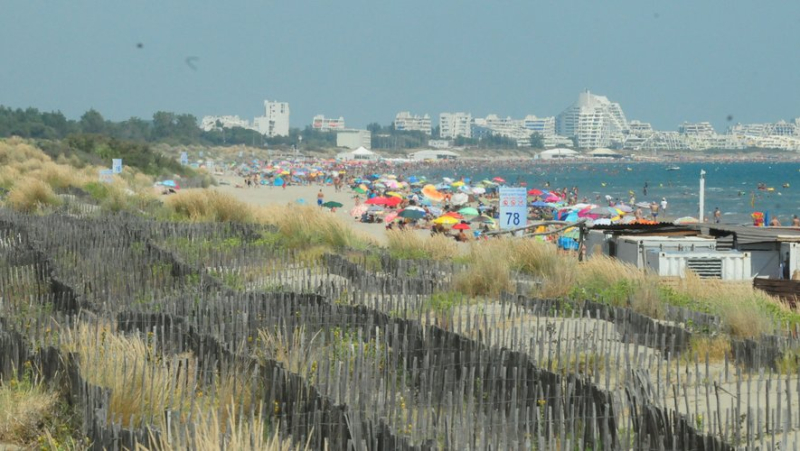 Tram, bus, bike: what solutions to reach the beach without a car from Montpellier ?