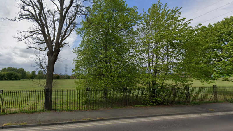 Container full of organs: mystery remains after macabre discovery of "human or animal" remains in park