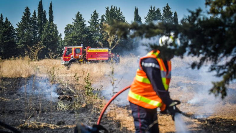 A vegetation fire in progress between Montpellier and Sommières: firefighters intervene, 1 hectare burned