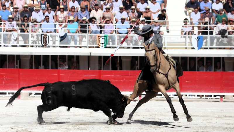 The inspirations of Talavante and the mastery of Luque illuminate the sky of Lunel