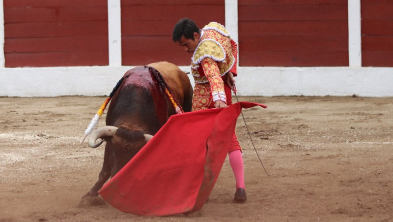 Feria de Céret: an ear for Gomez del Pilar in front of an interesting bullfight by Sobral