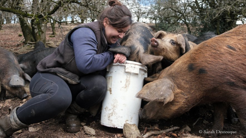 Marion Welch, éleveuse de bovins et porcins à Fraïsse-sur-Agoût, dans l'arrière-pays de Béziers, expérimente l’Abat’Mobile