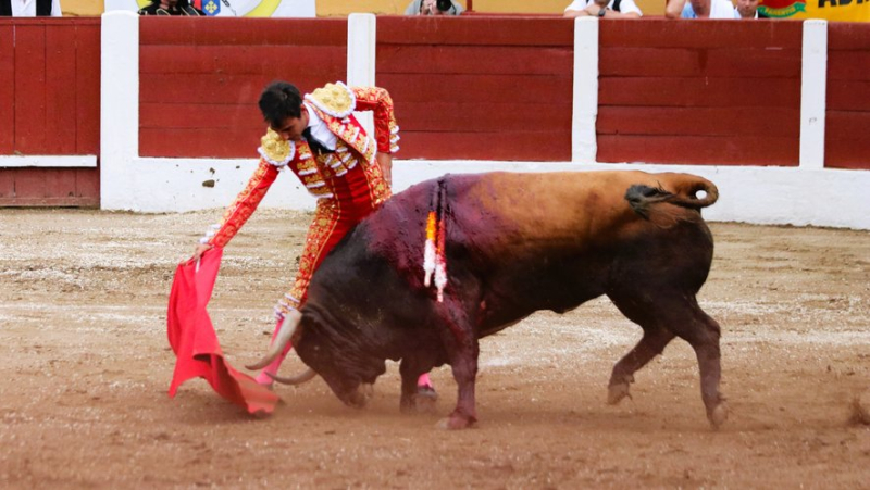 Feria de Céret: an ear for Gomez del Pilar in front of an interesting bullfight by Sobral