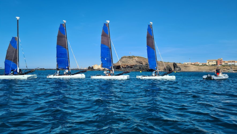 Immersion au cœur des stages de catamaran du centre nautique