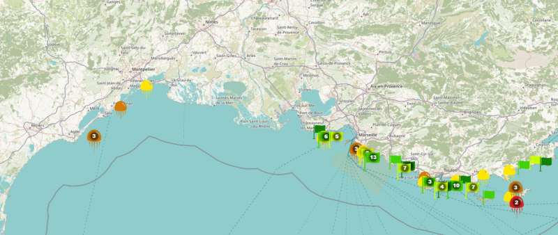 Are there jellyfish where you are going to swim ? Discover the map to choose your beach and avoid stings