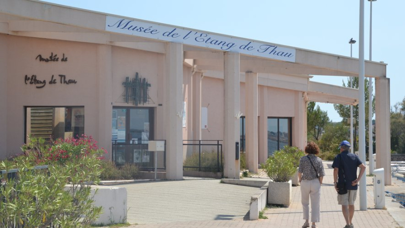 The Agglo de Sète, singled out by the Prefecture for its management of the Etang de Thau museum in Bouzigues