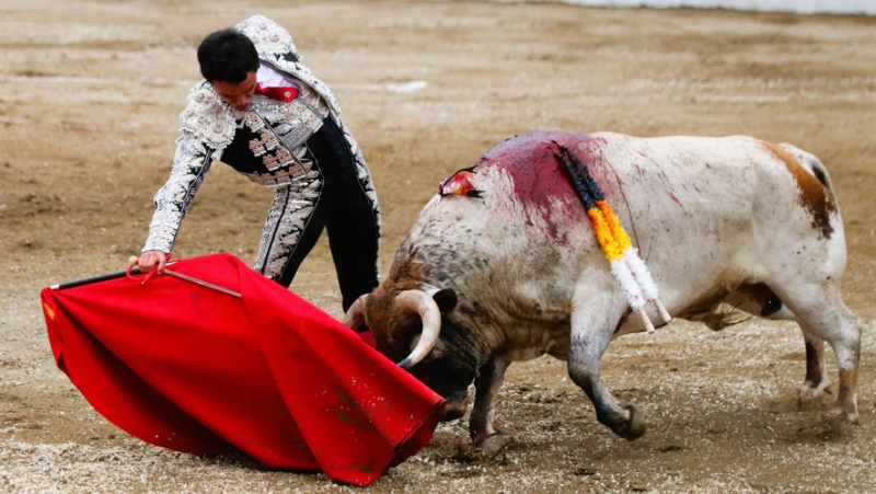 Feria de Céret: an ear for Gomez del Pilar in front of an interesting bullfight by Sobral