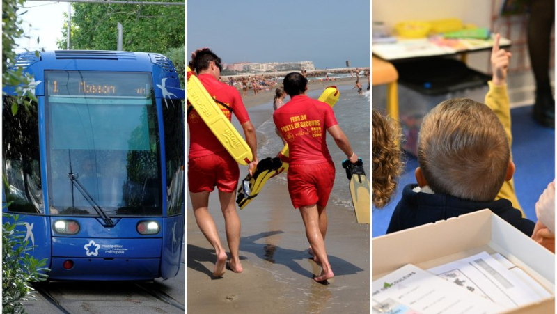 Transport on the rise in Montpellier, swimming emergency plan, class closures... the essential news in the region