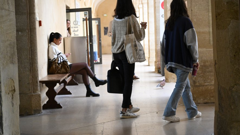 Ranking of the best student cities of 2024: Montpellier is still popular, discover the ranking