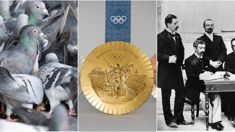 Paris 2024 Olympic Games: medalist at 10 years old, 300 pigeons killed, a marathon by car... unusual anecdotes in the history of the Olympic Games (1/5)