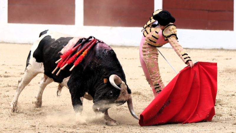 La Feria de Beaucaire en plein imbroglio malgré une affiche initialement séduisante