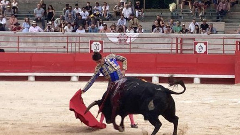 La polémique enfle sur le choix des cuadrillas pour la Feria de Beaucaire.