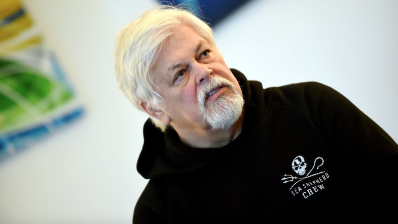 Whaling: why the arrest of Sea Shepherd founder Paul Watson is controversial ?