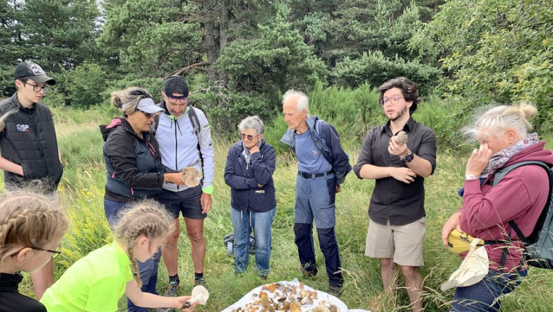 Before the autumn arrival of the porcini mushrooms, the mycological walk is a hit in Mont-Lozère