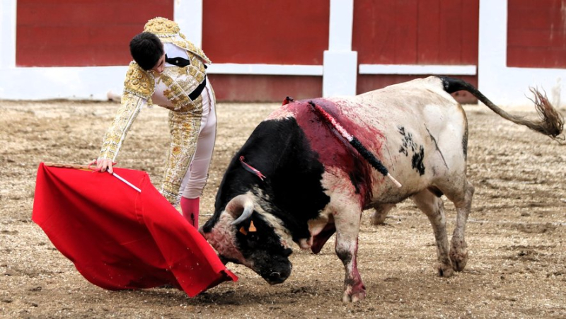 The Feria de Beaucaire in full imbroglio despite an initially attractive poster