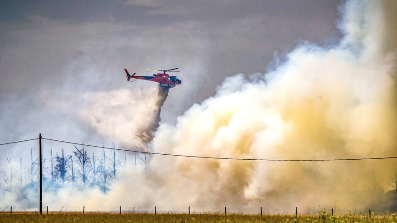 A forest fire mobilizes around fifty firefighters in the north of Gard