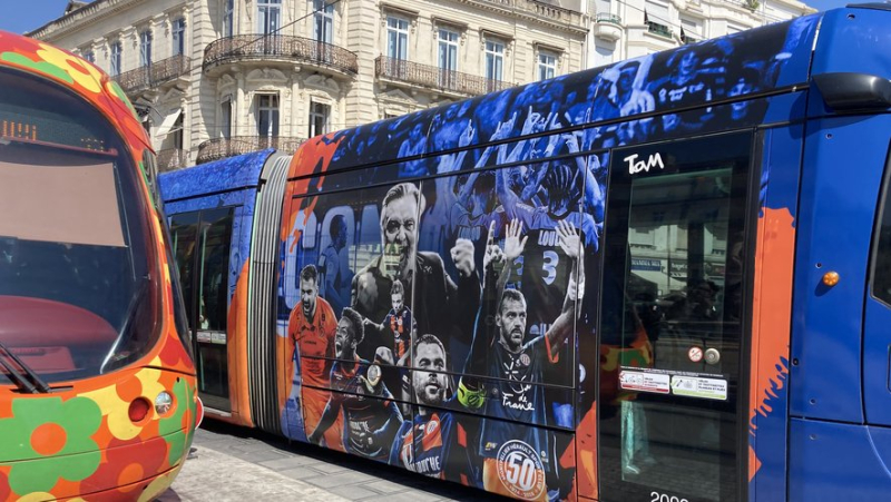 In photos: they have marked the history of Montpellier-Hérault and adorn the special anniversary tram for the club&#39;s 50th anniversary