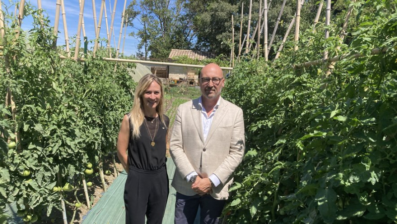 Et si vous achetiez vos fruits et légumes en direct au domaine de Verchant, ce Relais et château aux portes de Montpellier