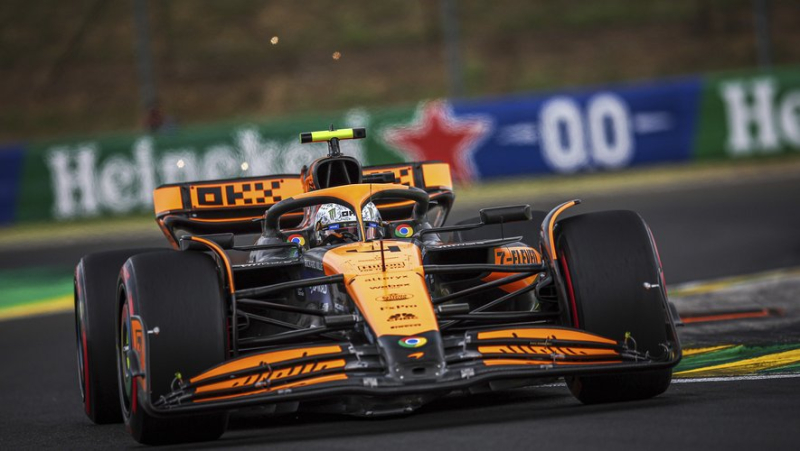 F1: Norris takes pole position at Hungarian Grand Prix, Verstappen only third