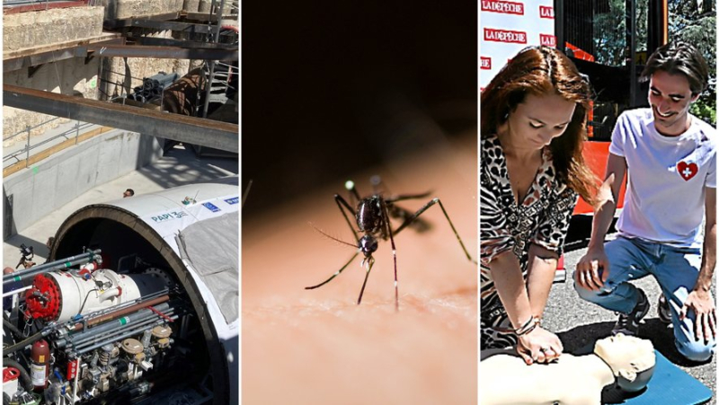 Un chantier hors norme, la dengue à Montpellier, le Secours tour du coeur... l'essentiel de l'actu en région