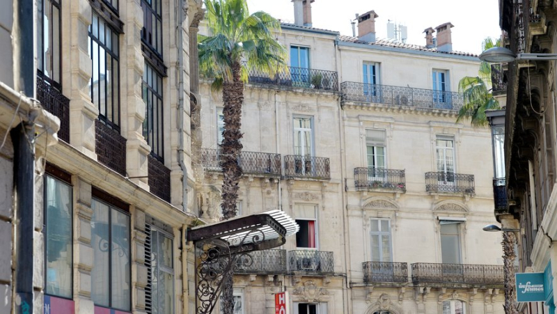 Montpellier, the most expensive city in Occitanie for shared accommodation… And the most tense