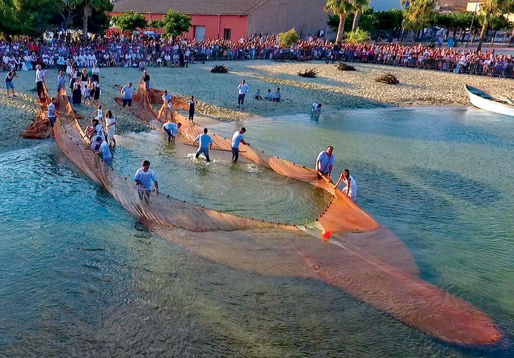 Où sortir à Sète et sur le bassin de Thau : exposition, festival, musique, festivités locales…