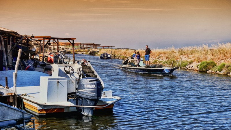 Toxicity on the Thau lagoon: restrictions on harvesting, fishing and consumption of shellfish are lifted