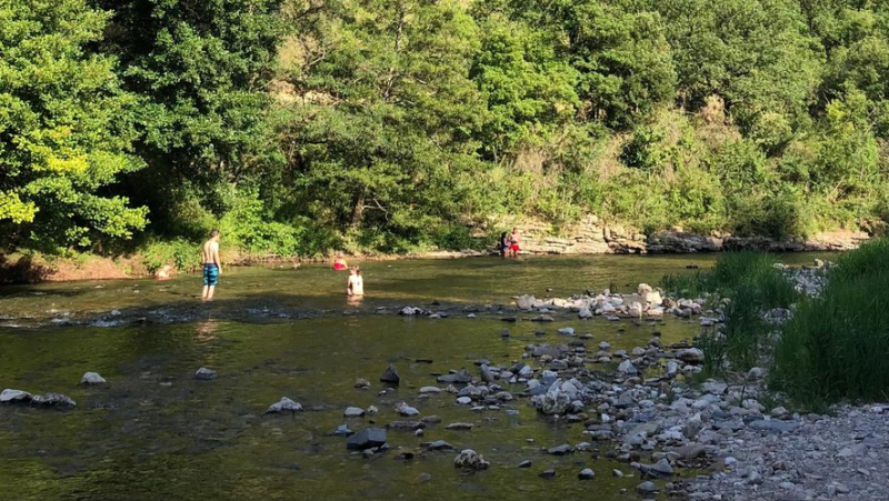 Canine poisoning by cyanobacteria on the Tarn, transition to "increased vigilance"