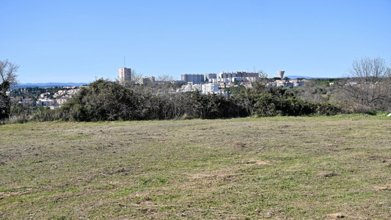 Why the highly contested thousand-housing project at Coteau de Malbosc, northwest of Montpellier, has been abandoned