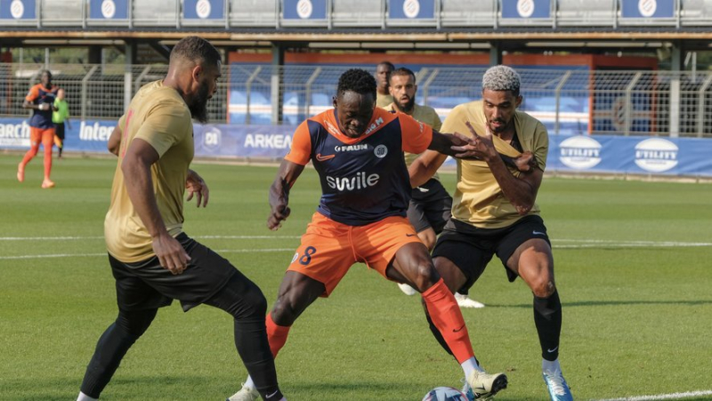 MHSC: the fall in TV rights handicaps the ambitions of Montpellier, which will celebrate its 50th anniversary this season